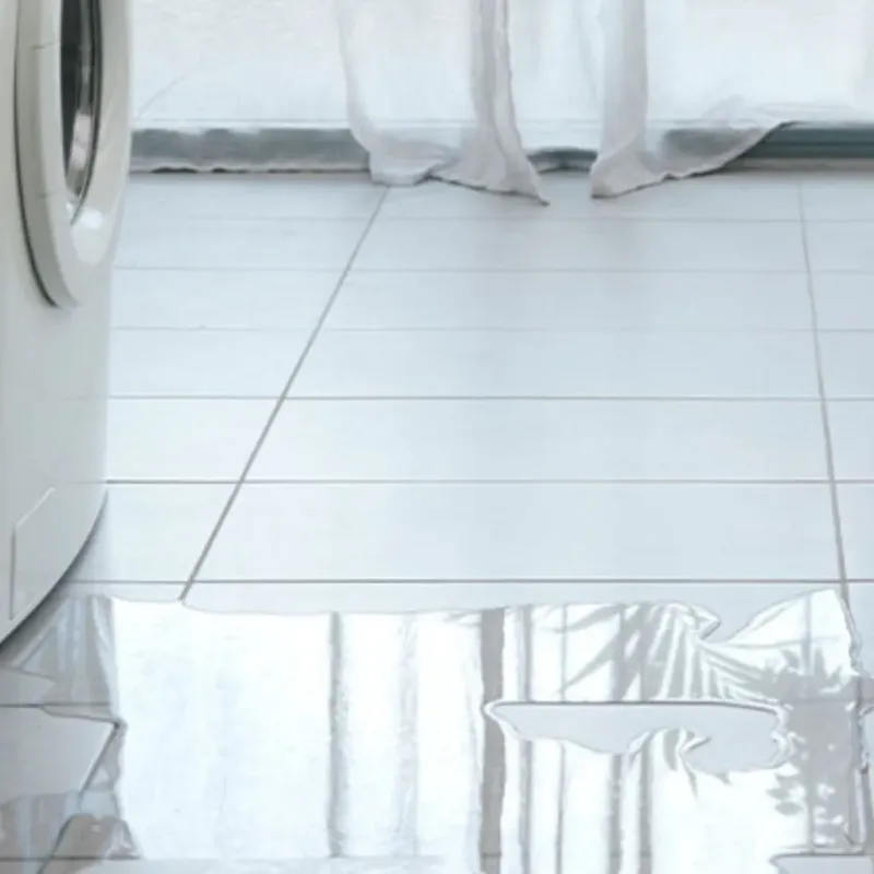 Appliance Leak Cleanup in Fort Rucker, AL