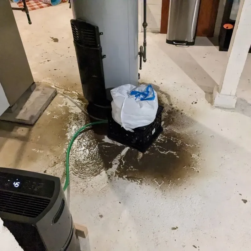 Sewage Backup Cleanup Service in Fort Rucker, AL